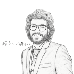 Ali Bin Zulfiqar - Senior Developer
